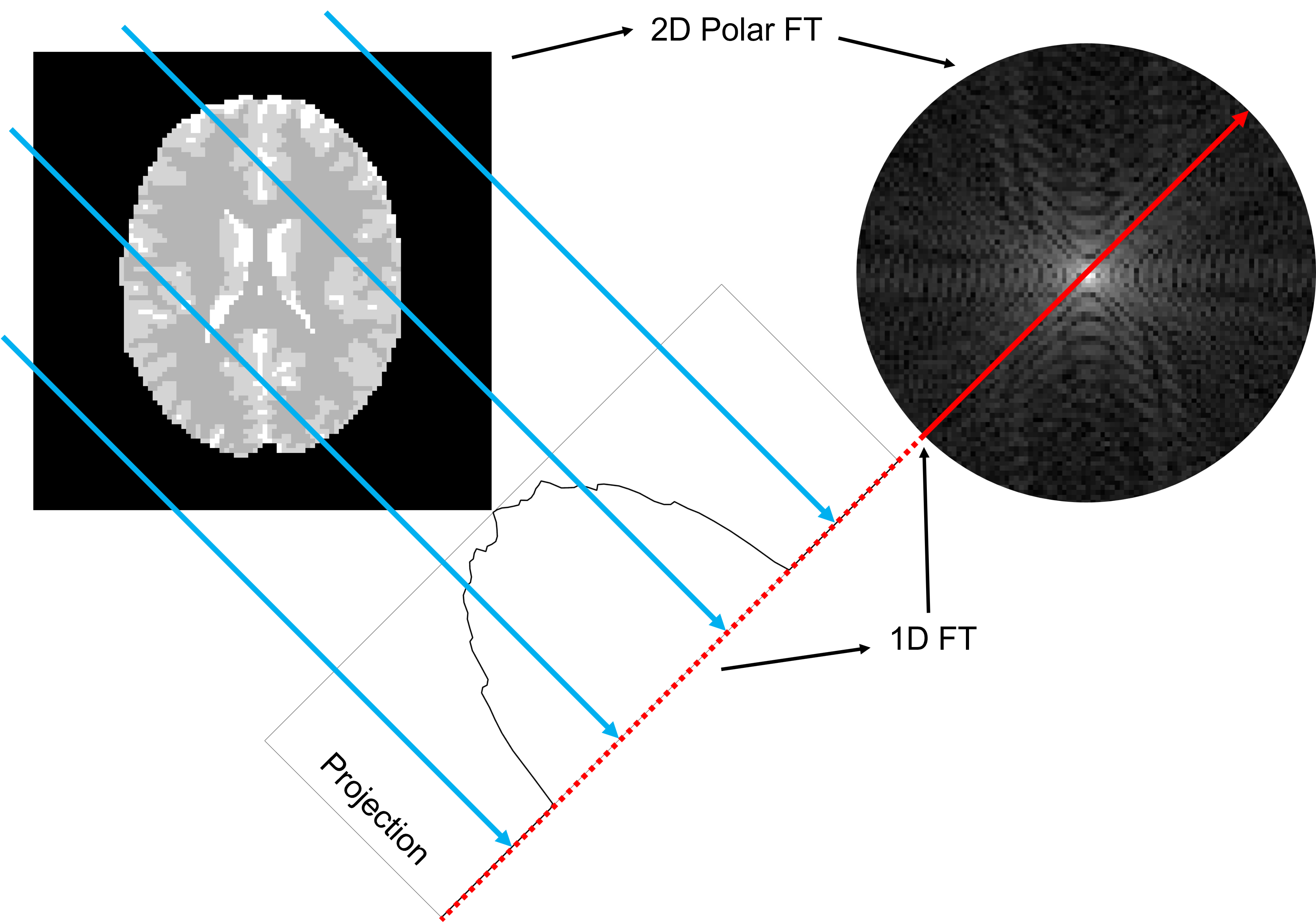John Bodenschatz - computational_sciences